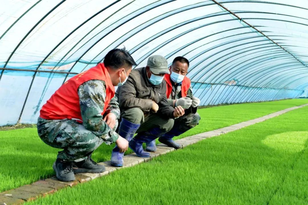 北大荒集团春耕生产序幕全面拉开