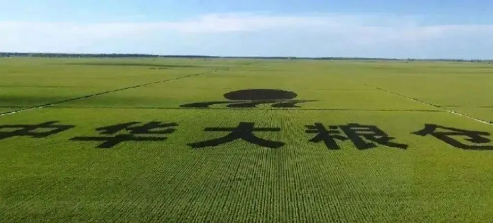 中国人要把饭碗端在自己手里，而且要装自己的粮食