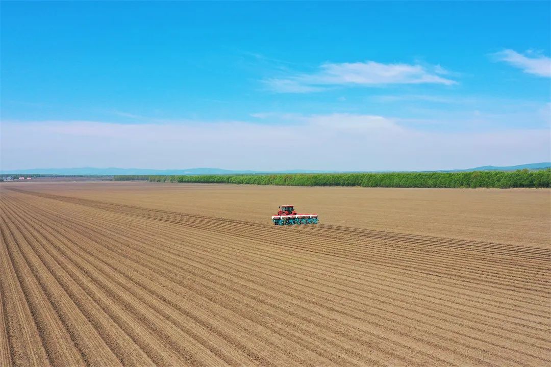 北大荒这片广袤的沃野，种满希望