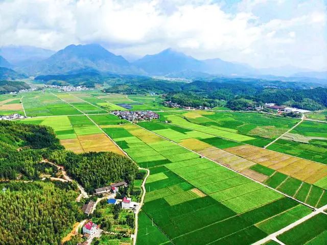 借助农垦改革发展东风 福建垦区特色产业正扬帆起航播