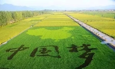 安食农垦,优品直供