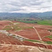 海垦农垦推进土地综合整治助力乡村振兴